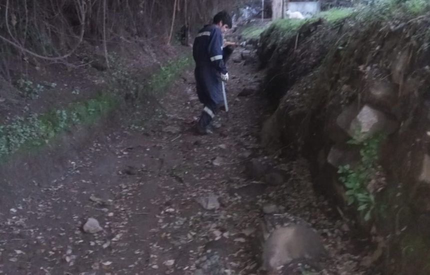 0b8d13e3-526f-496d-ba86-19628d7f1663