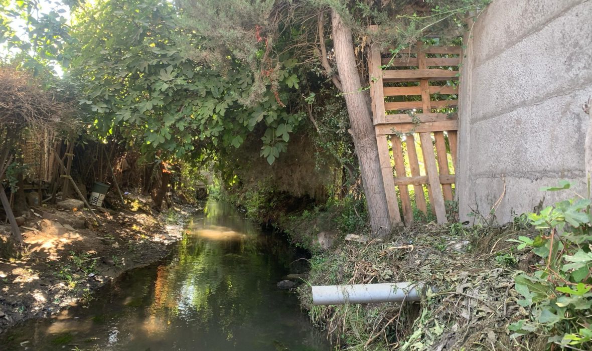 Imagen de WhatsApp 2025-02-12 a las 10.41.30_79b192ec