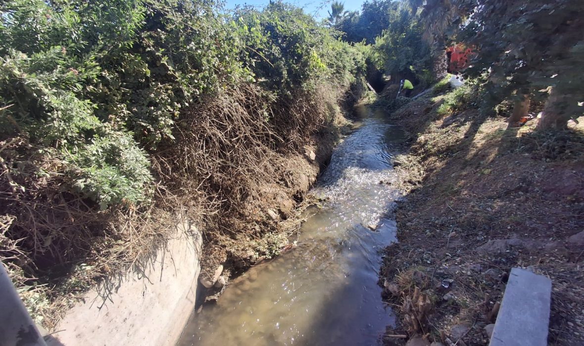 Imagen de WhatsApp 2025-02-17 a las 18.24.49_11e8a73e