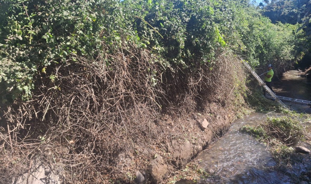 Imagen de WhatsApp 2025-02-17 a las 18.24.50_637bd7ec