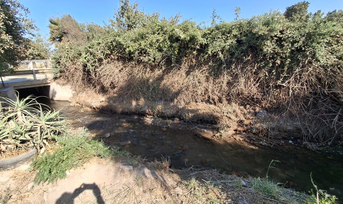 Imagen de WhatsApp 2025-02-18 a las 17.39.20_1b46f761