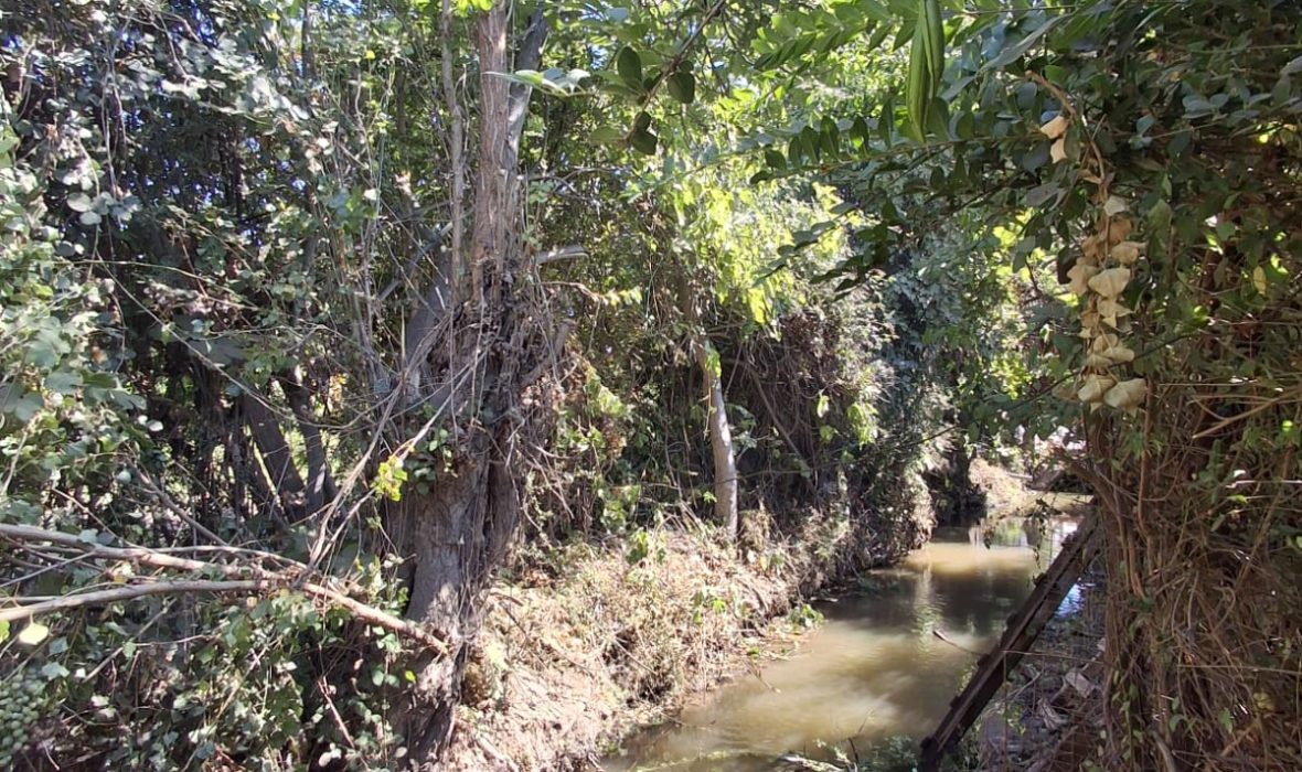 Imagen de WhatsApp 2025-02-18 a las 17.39.22_af5eb06e