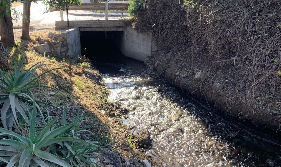 Imagen de WhatsApp 2025-02-20 a las 10.43.36_f8d466bc