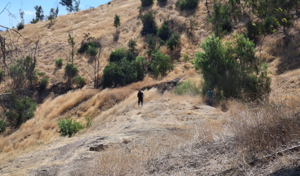 Imagen de WhatsApp 2025-02-28 a las 16.10.57_6fdde055