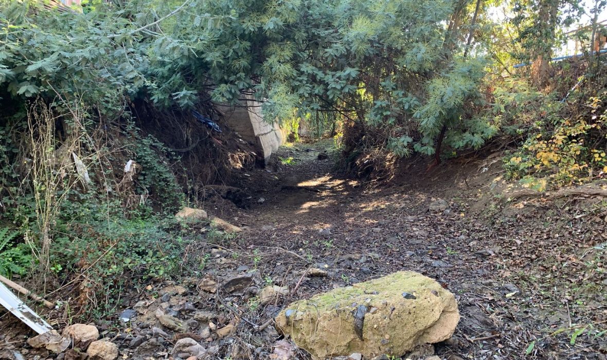 Imagen de WhatsApp 2025-05-20 a las 10.29.30_32843902