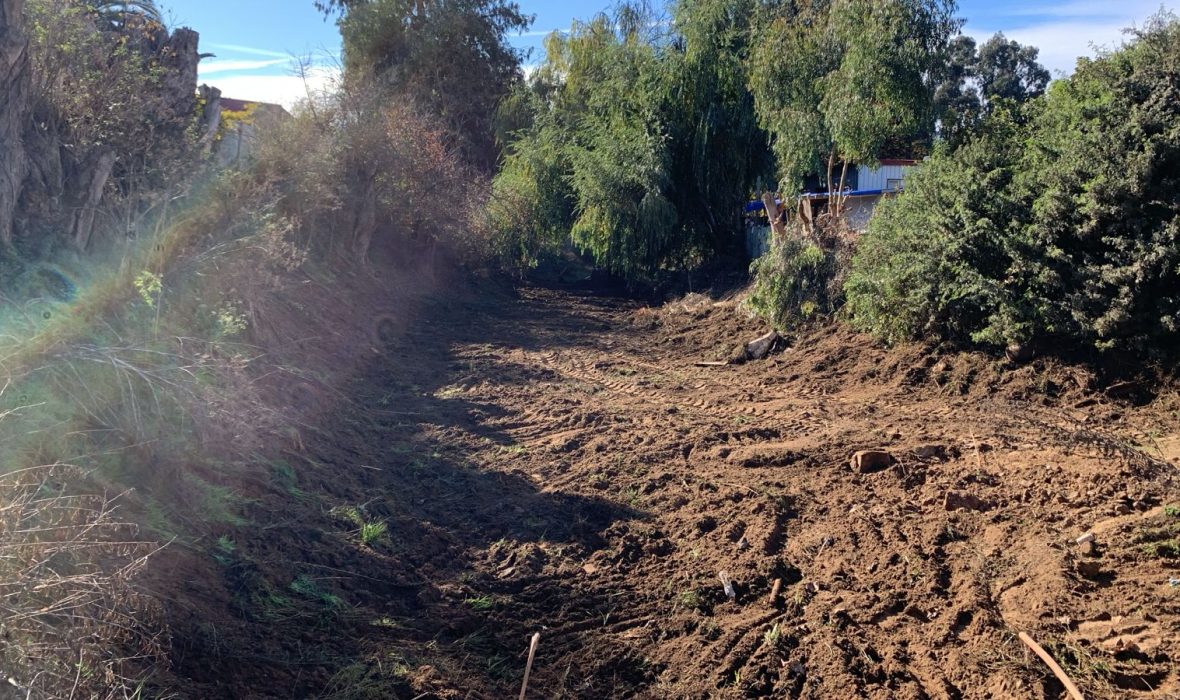 Imagen de WhatsApp 2025-05-20 a las 10.36.35_dee6667c