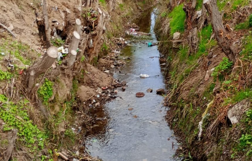 PHOTO-2024-06-06-17-06-34