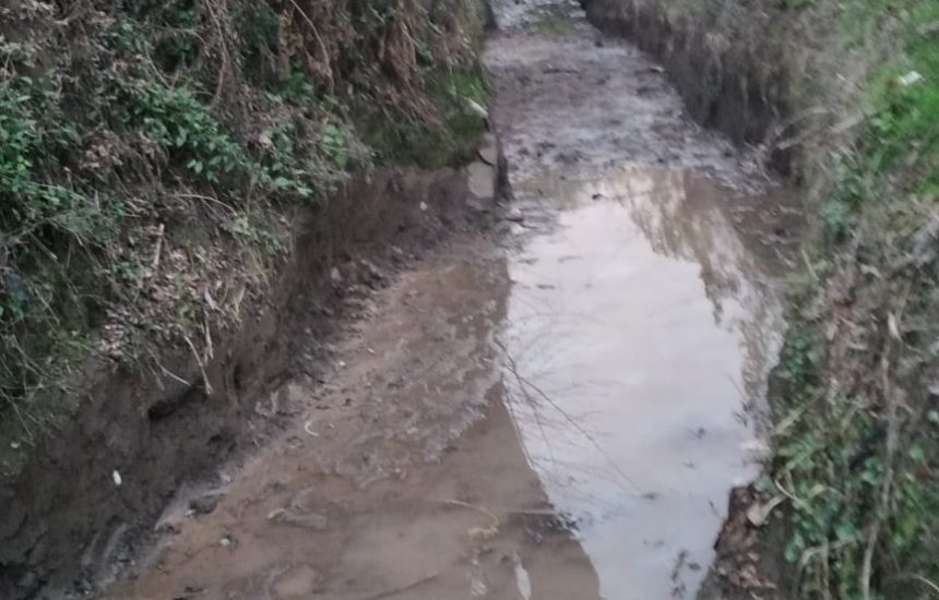 PHOTO-2024-06-12-17-43-28 (2)