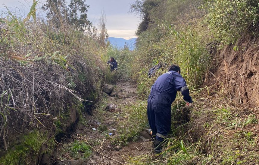 PHOTO-2024-06-20-16-00-50 (1)