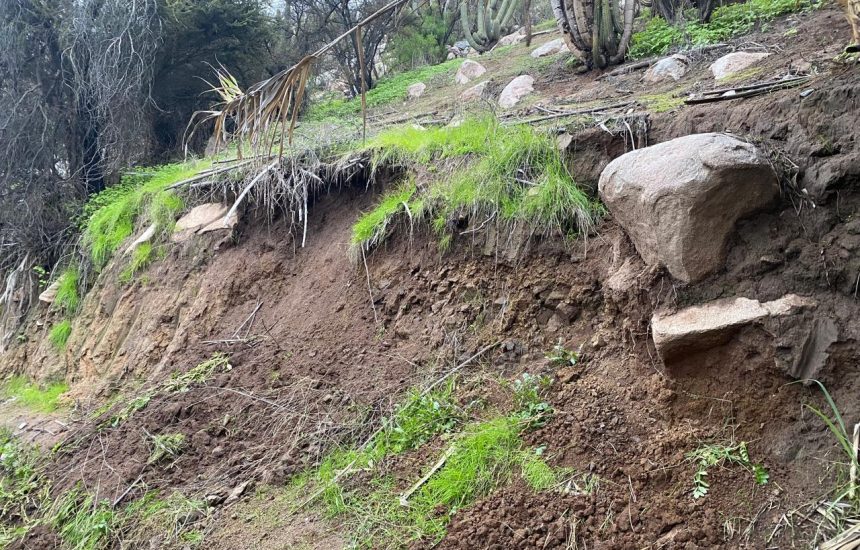 PHOTO-2024-06-24-09-21-37 (2)