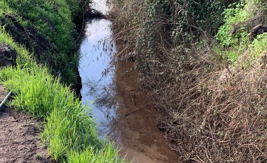 PHOTO-2024-08-07-15-08-12 (2)