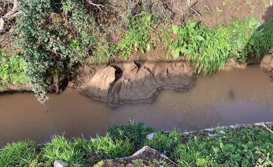 PHOTO-2024-08-07-15-08-18 (3)