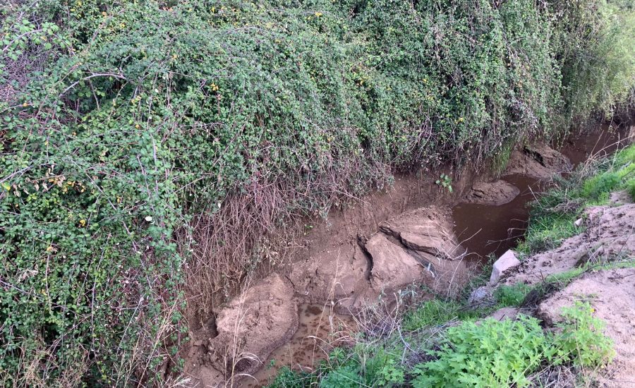 PHOTO-2024-08-07-15-47-13