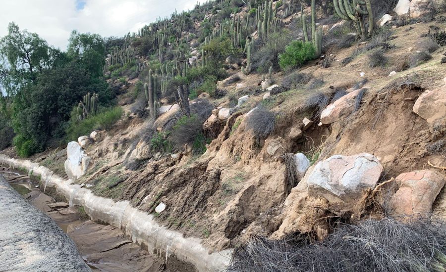 PHOTO-2024-08-07-15-47-15 (3)