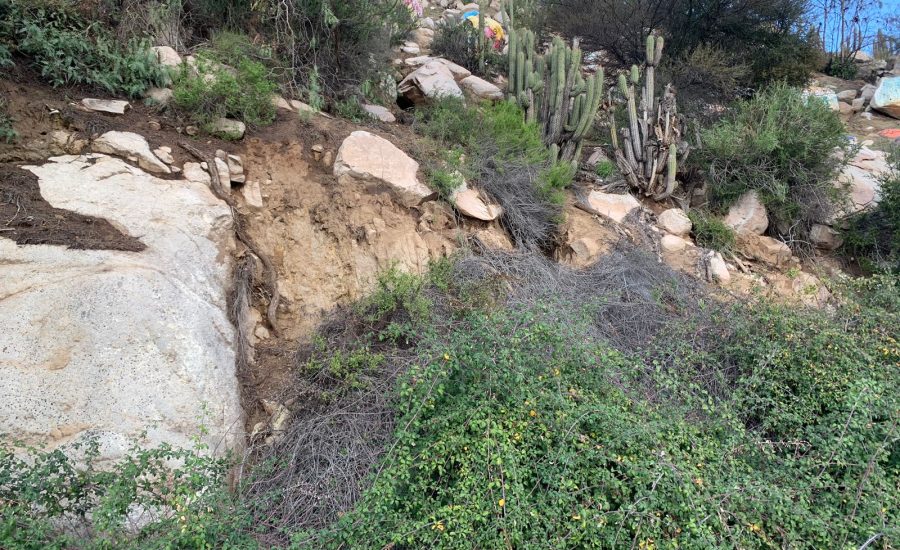 PHOTO-2024-08-07-15-47-15