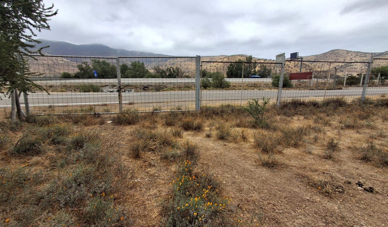 PHOTO-2024-12-05-18-06-48 (2)