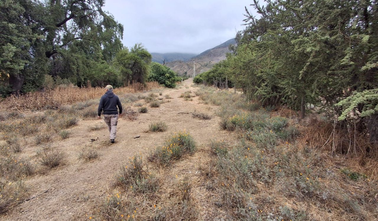 PHOTO-2024-12-05-18-06-49