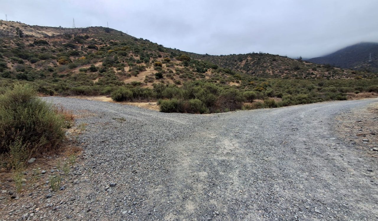 PHOTO-2024-12-05-18-08-25 (1)