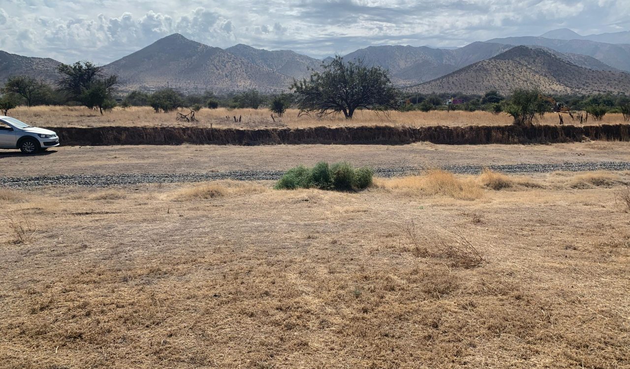 d32b81be-4931-4f74-8d63-27a606d06588